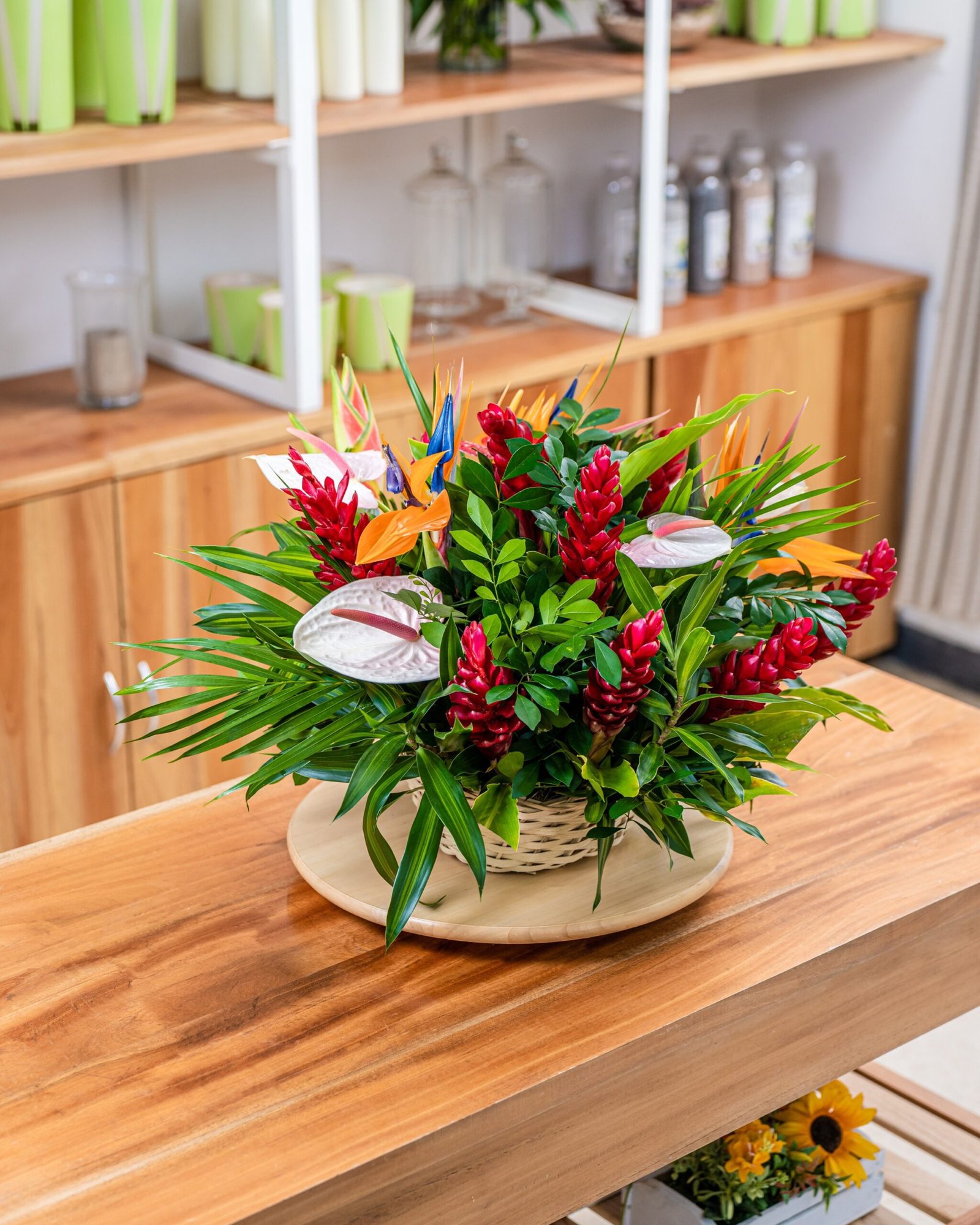 Arreglo Isla Tropical