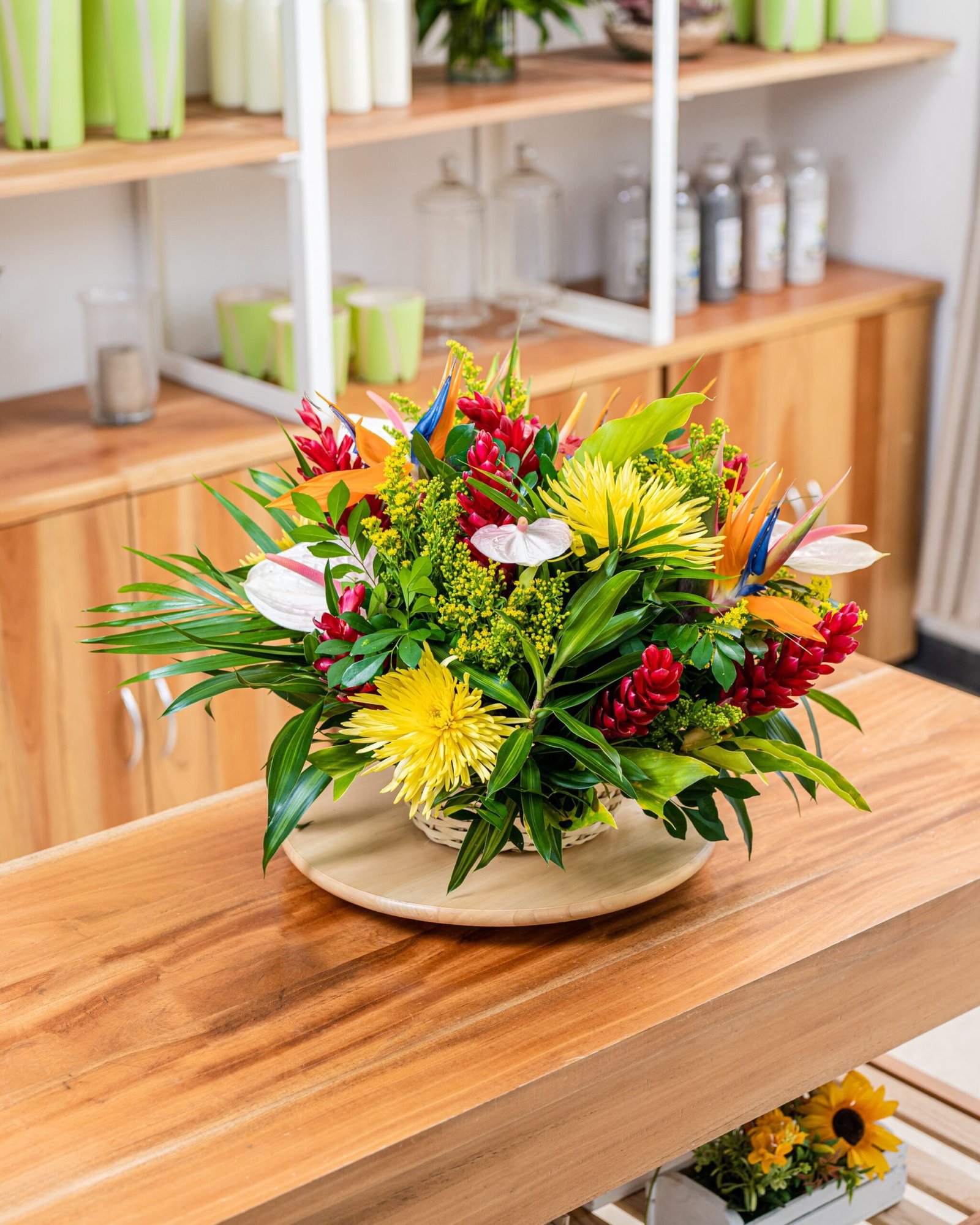 Arreglo Isla Tropical